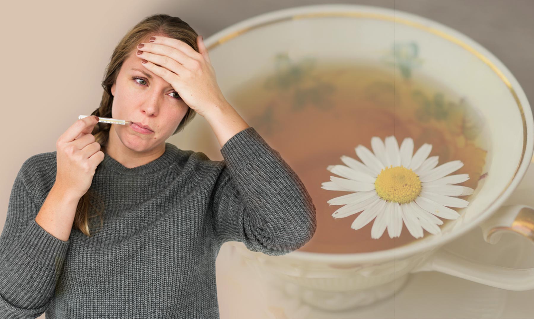 Plantas que pueden utilizar en casa para aliviar malestares&hellip;