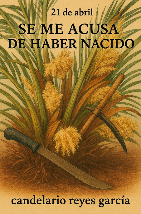 SE ME ACUSA DE HABER NACIDO